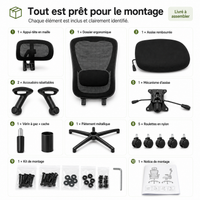 Chaise de bureau ergonomique en maille avec soutien lombaire – Noir