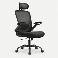 Chaise de bureau ergonomique en maille avec soutien lombaire – Noir