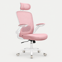 Chaise de bureau ergonomique en maille avec soutien lombaire – Rose